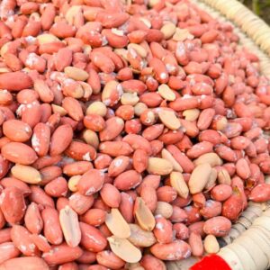 بادام زمینی محلی آستانه (درشت)