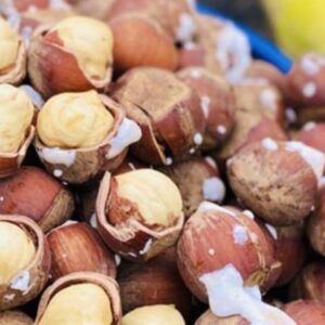 فندق برشته نمکی